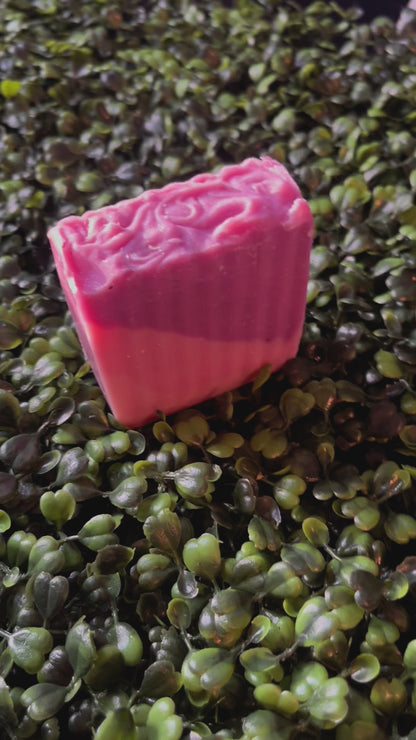 Fruity Fusion Shea and Yogurt Moisturizing Soap